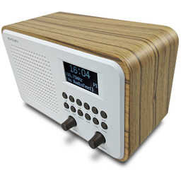 Echowell Dab1 Clock Radio