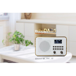 Echowell Dab1 Clock Radio