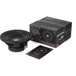 DLS Audio PE10.D2