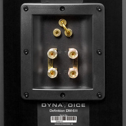 Dynavoice DV-DM-6II